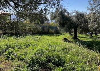 IMG_2718.jpg - Terreno edificabile Via Antonio Gramsci, Marcellina - foto 13