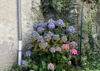 IMG_3400.JPG - Appartamento Via Monte Nero 9, Dumenza - foto 8