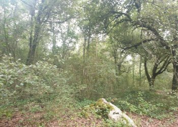 20211123_152522.jpg - Casale PORCHIANO, Amelia - photo 5