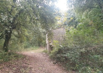 20211123_152523.jpg - Casale PORCHIANO, Amelia - photo 8