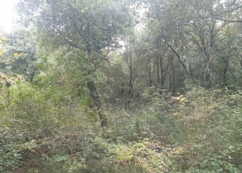 20211123_152525.jpg - Casale PORCHIANO, Amelia - photo 9