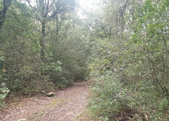 20211123_152528.jpg - Casale PORCHIANO, Amelia - photo 10