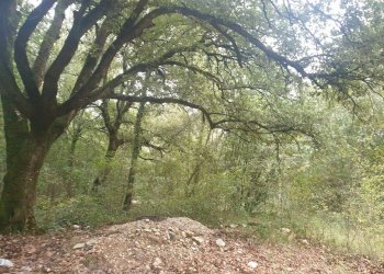 20211123_152541.jpg - Casale PORCHIANO, Amelia - photo 11