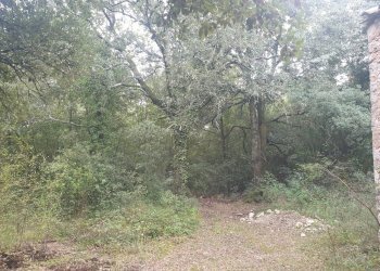 20211123_152543.jpg - Casale PORCHIANO, Amelia - photo 12