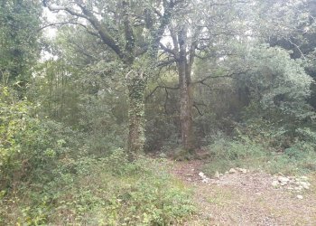 20211123_152556.jpg - Casale PORCHIANO, Amelia - photo 14