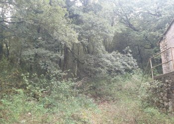 20211123_152606.jpg - Casale PORCHIANO, Amelia - photo 15