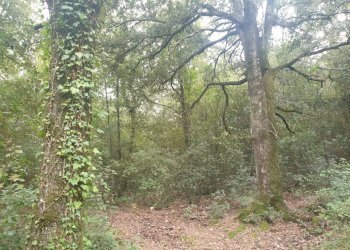 20211123_152608.jpg - Casale PORCHIANO, Amelia - photo 16