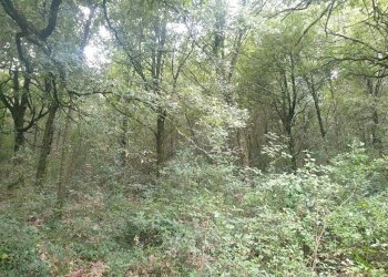 20211123_152626.jpg - Casale PORCHIANO, Amelia - photo 18