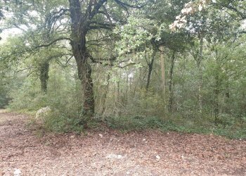 20211123_152706.jpg - Casale PORCHIANO, Amelia - photo 20