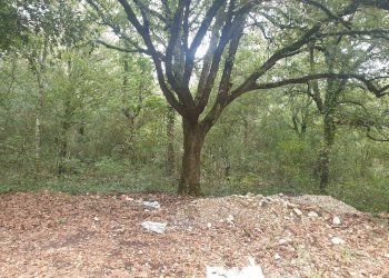 20211123_152708.jpg - Casale PORCHIANO, Amelia - photo 21