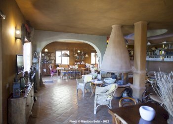 _MG_6635.jpg - Villa Vocabolo Pupigliano 25, Alviano - foto 29