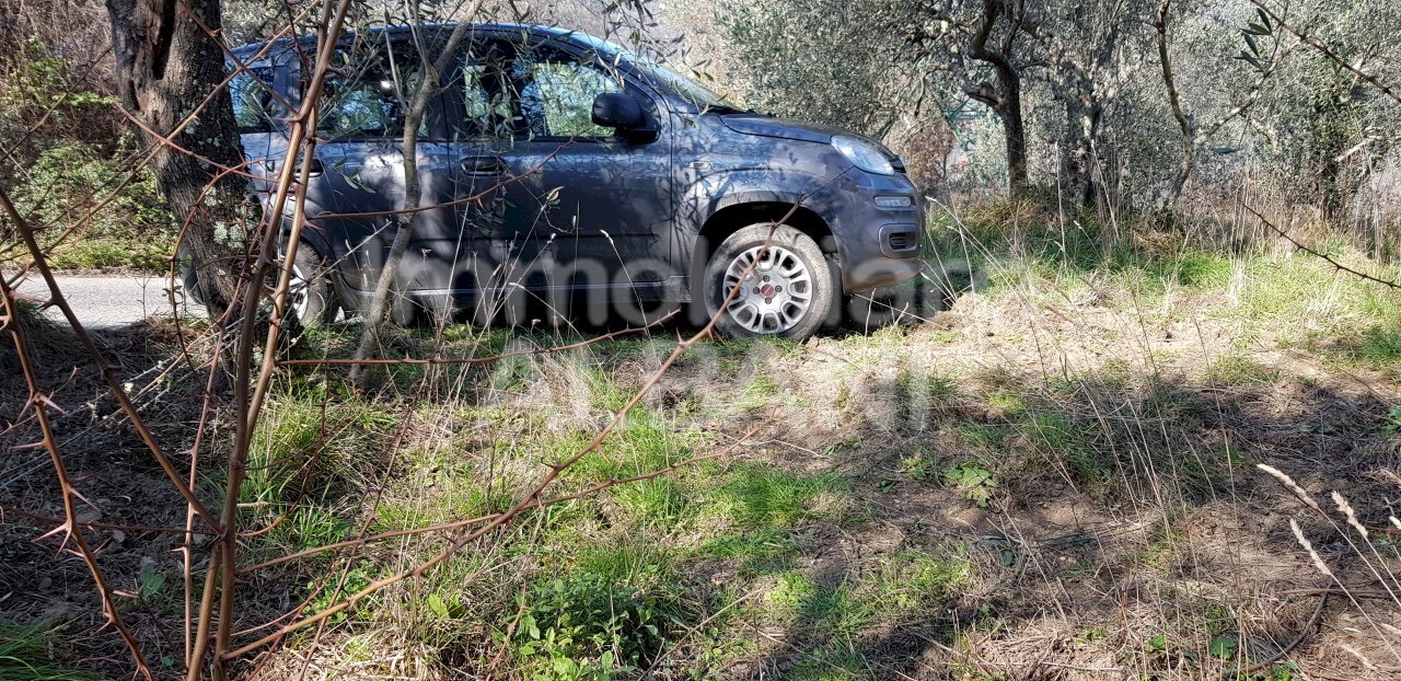 TE155_terreno_agricolo_uliveto_vendita_vezzano (11 - Terreno agricolo Vezzano Ligure - foto 2
