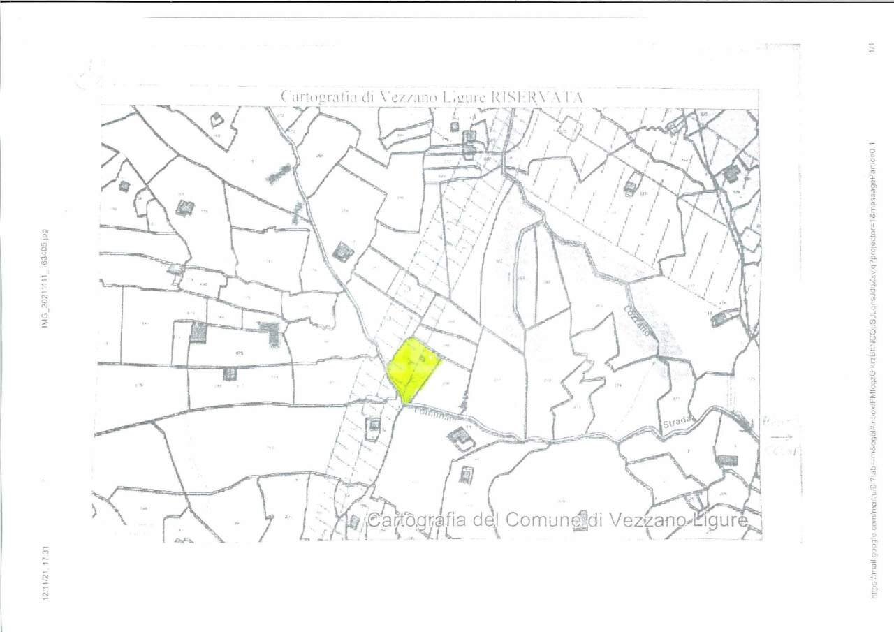 TE155_terreno_agricolo_uliveto_vendita_vezzano (6) - Terreno agricolo Vezzano Ligure - planimetria 1