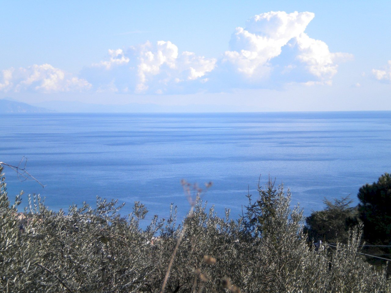 3 vista sud est.JPG - Villa Varazze - photo 1