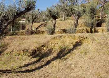 P1010101.JPG - Villa Varazze - foto 5