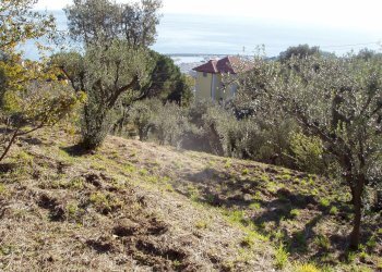 P1010083.JPG - Villa Varazze - foto 9