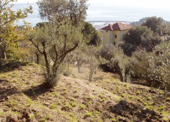 P1010084.JPG - Villa Varazze - foto 10