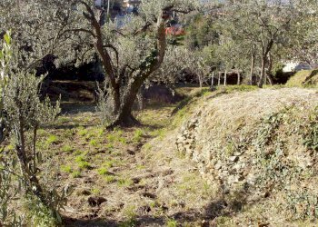 P1010086.JPG - Villa Varazze - foto 12