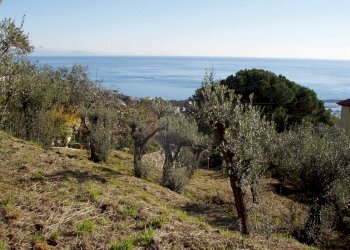 P1010088.JPG - Villa Varazze - foto 13