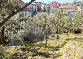 P1010089.JPG - Villa Varazze - foto 15