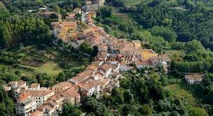 Warehouse Via Beato Pio IX, Fauglia - photo 3