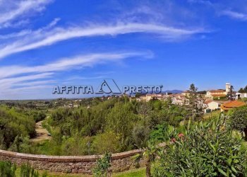 Magazzino Via Beato Pio IX, Fauglia - foto 6