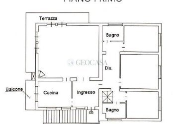 Pianta P1.jpg - Villa Sarzana - foto 1