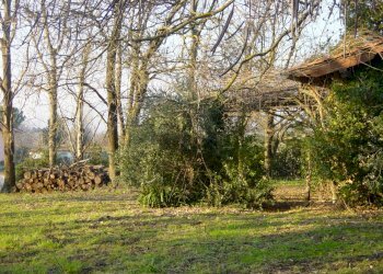 DSC05580.JPG - Villa Via Vecchia Pesciatina in Gragnano, Lucca - foto 6