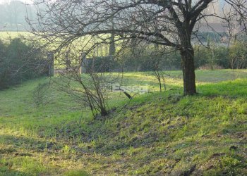 DSC05581.JPG - Villa Via Vecchia Pesciatina in Gragnano, Lucca - foto 12