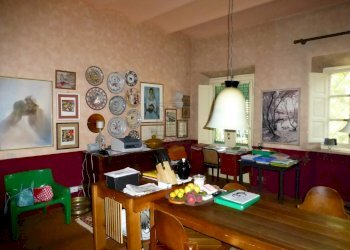 P1060381.JPG - Terratetto - Terracielo Capannori - foto 4