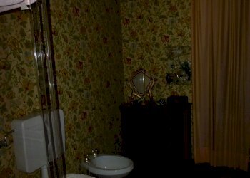 P1060390.JPG - Terratetto - Terracielo Capannori - foto 7