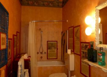 P1060391_2.JPG - Terratetto - Terracielo Capannori - foto 8