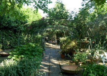 P1060396.JPG - Terratetto - Terracielo Capannori - foto 13