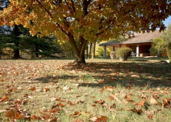 Villa Unifamiliare Sala Baganza - foto 6