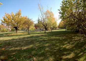 Villa Unifamiliare Sala Baganza - foto 10