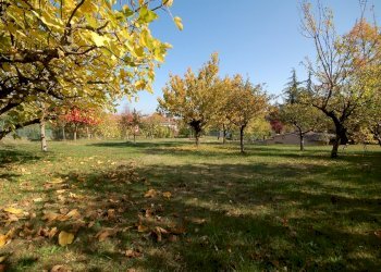 Villa Unifamiliare Sala Baganza - foto 11