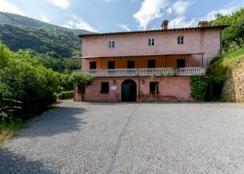 _x0a5543 3.JPG - Villa Via della Cella, Lucca - foto 3