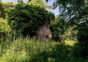 _x0a5506.JPG - Villa Via della Cella, Lucca - foto 6