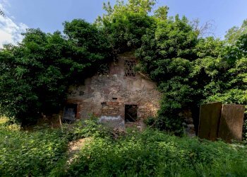 _x0a5512 2.JPG - Villa Via della Cella, Lucca - foto 7