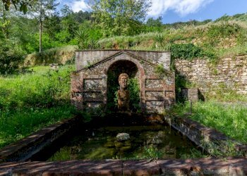 _x0a5524 2.JPG - Villa Via della Cella, Lucca - foto 9