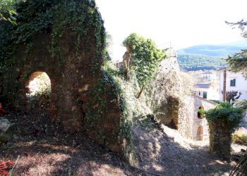 rudere da ristrutturare vendesi lucca.JPG - Casale Lucca - foto 26