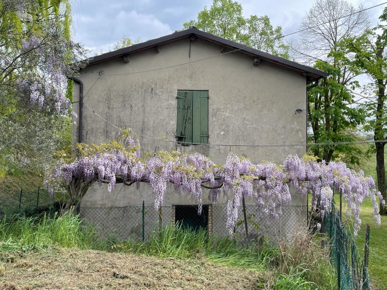 Rustic Meldola - photo 3