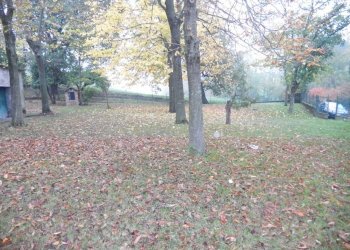 Rustico Meldola - foto 5