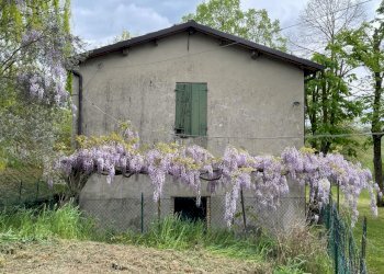 Rustico Meldola - foto 3