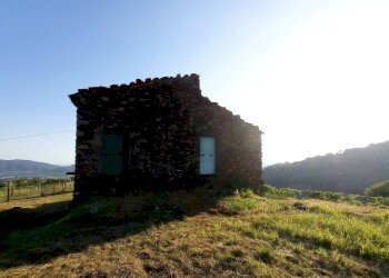 1627034687874.jpg - Rustico Sarzana - foto 1