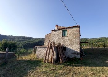 1627034717788.jpg - Rustico Sarzana - foto 2