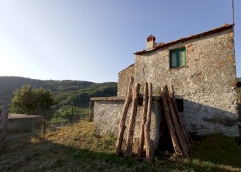 1627034687816.jpg - Rustico Sarzana - foto 4