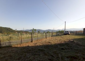 1627034687824.jpg - Rustico Sarzana - foto 8