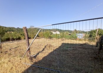 1627034687839.jpg - Rustico Sarzana - foto 9