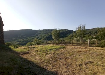 1627034687847.jpg - Rustico Sarzana - foto 10